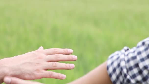 A close-up of the hands of two Caucasian gay men as they put wedding rings on each other on a green wheat field — Stock Video