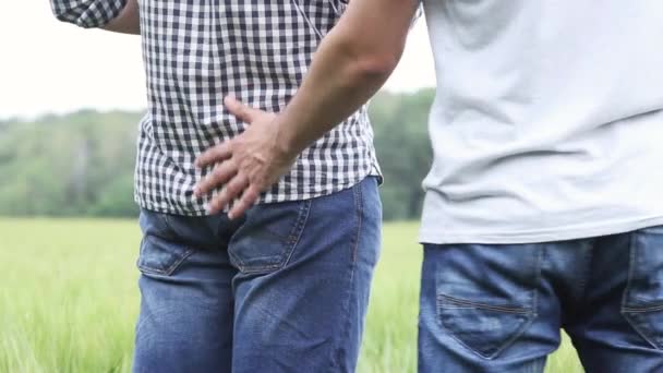 Para gejów, stojący w środku pola pszenicy zielony w objęciach jeden z partnerów homoseksualnych śruby drugi w pośladki w środku pola pszenicy zielony — Wideo stockowe