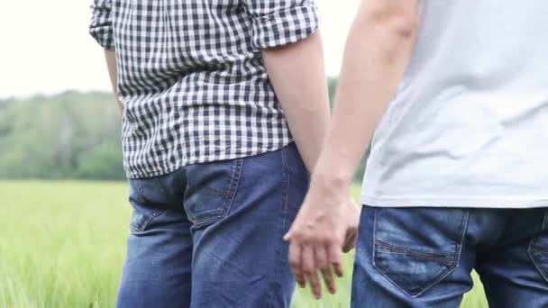 Пара геев, стоящих посреди зеленого пшеничного поля, обнимающих друг друга, один из партнеров-геев встает вторым в ягодицы посреди зеленого пшеничного поля — стоковое видео