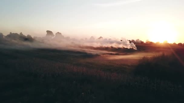 Vola sul prato al tramonto. Campo in fumo. Filmati cinematografici — Video Stock