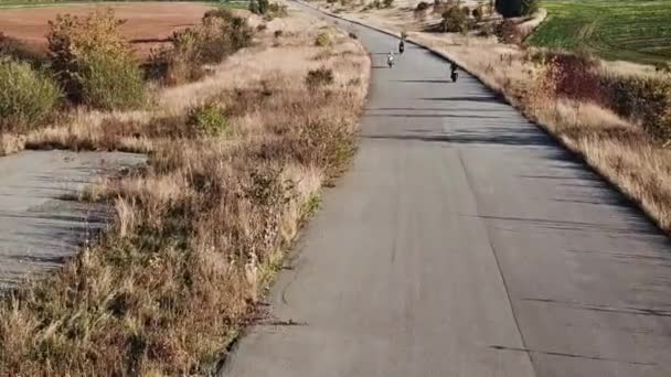 Baum Motorradfahrer geht auf Autobahn. Vorbeifahren auf einem Motorrad. Ansicht von oben — Stockvideo