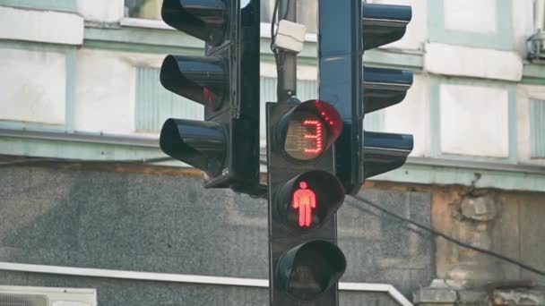 Luz verde para los peatones. Luz roja a luz verde — Vídeo de stock