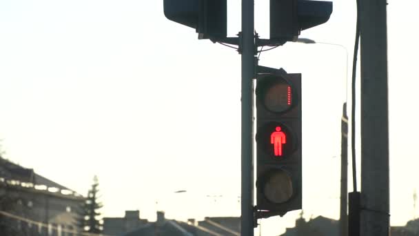 Luz verde para os peões. Luz vermelha para luz verde — Vídeo de Stock