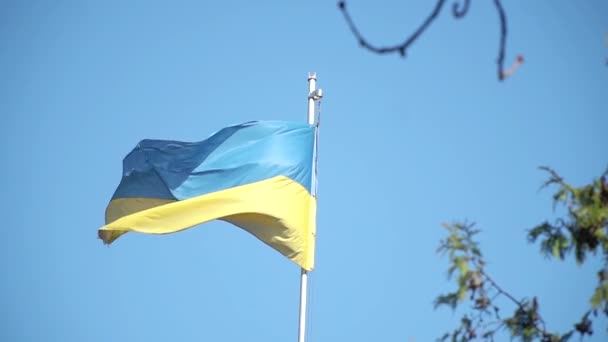 Flag of Ukraine fluttering in the wind, blue sky on background — Stock Video