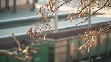 Ulaşım ve lojistik arka plan. Tren yük taşıma platformunda boş yük vagonları