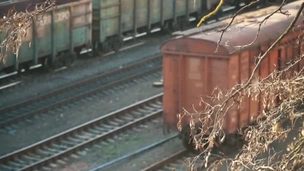 Transport et contexte logistique. Wagons vides sur la plate-forme de transport de marchandises du train — Video