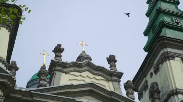 Fågeln sitter på kupolen i kyrkan — Stockvideo