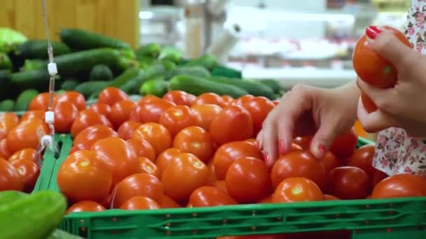 Крупный план съемки женской руки, выбирающей вкусные помидоры — стоковое видео