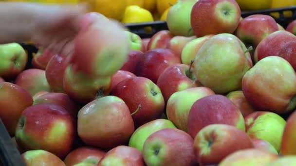 Крупный план съемки женской руки при выборе свежих яблок — стоковое видео