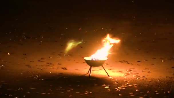 Brandend vuur in de metalen Vuurschaal — Stockvideo