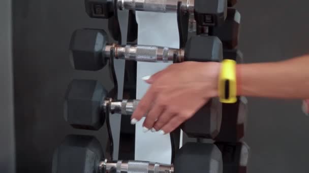 Close-up de treinamento de força menina esportiva levantando pesos dumbbell se preparando para o exercício — Vídeo de Stock