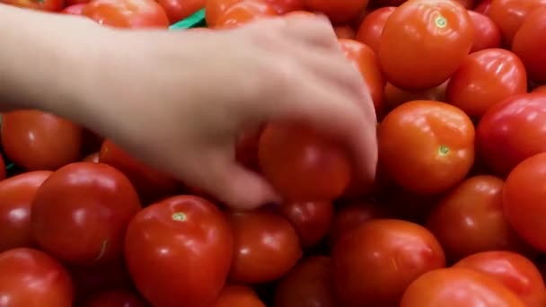 La mujer elige verduras en un supermercado. Primer plano tiro de la mano femenina elegir deliciosos tomates — Vídeo de stock