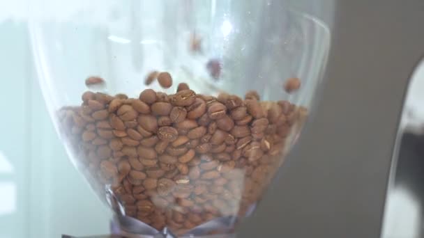 Los granos de café vierten en la máquina de café. De cerca. — Vídeo de stock