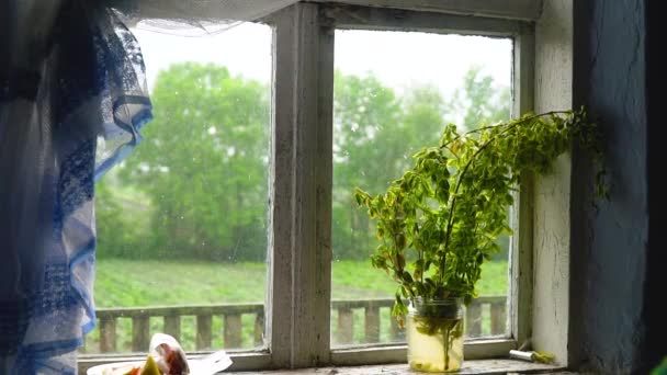 Pemandangan musim panas dari jendela sebuah rumah pertanian tua. Hujan turun. — Stok Video