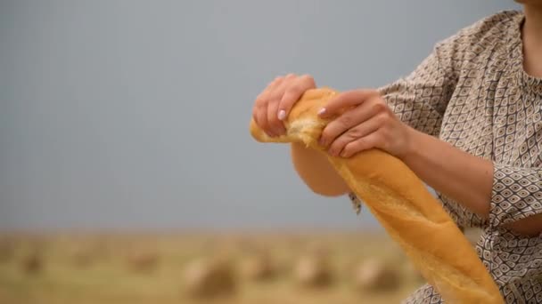 Молодая девушка сидит на тюке и ест хлеб посреди пшеничного поля с тюками в летний вечер — стоковое видео