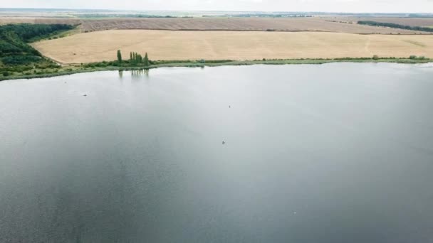 Vista aérea do lago. Pesca de barco. Pássaros brancos voando sobre o lago — Vídeo de Stock