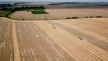 Sahada buğday hasat eden iki birleşimin havadan görünümü ve traktör