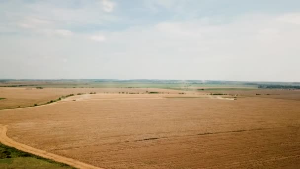 两个现代结合收获小麦在田间的鸟瞰图。顶部视图 — 图库视频影像
