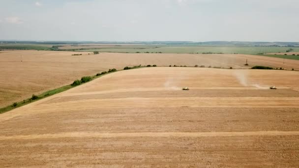Аерофотозйомка двох сучасних комбайнів збирання пшениці на полі. Вид зверху — стокове відео