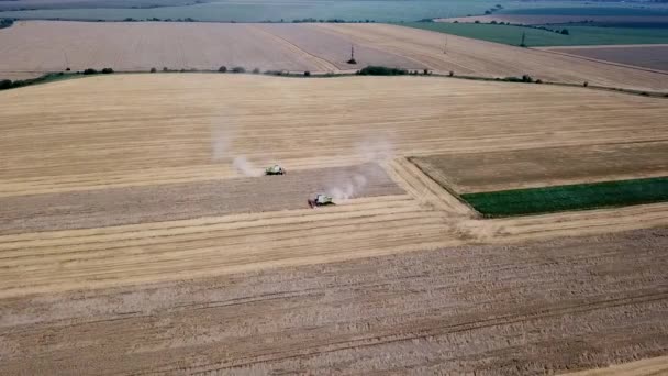 Εναέρια θέα δύο σύγχρονων συνδυάζει τη συγκομιδή σιταριού στο χωράφι — Αρχείο Βίντεο