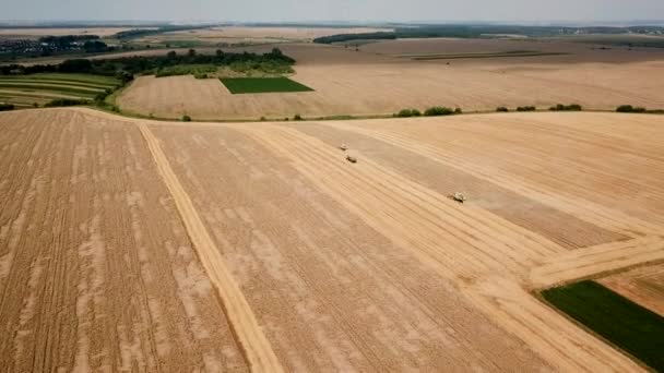 Luchtfoto van twee moderne combinatie en tractor oogst tarwe op het veld — Stockvideo