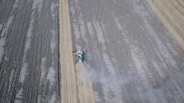Сбор пшеницы летом. Вид с воздуха на современную комбайновую пшеницу на поле — стоковое видео