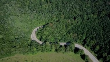Her iki tarafta büyüyen yoğun ormanların yeşil ağaçları hareket eden araba ile orman yolu üzerinde uçan havadan görünümü