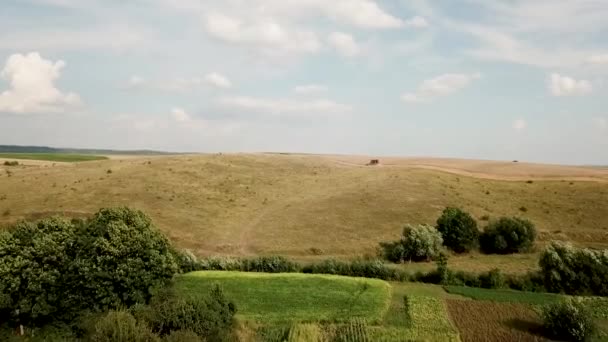 Veduta aerea del moderno rosso combinare raccolta del grano sul campo — Video Stock