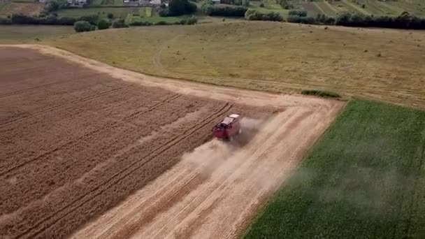 Vue aérienne de la moissonneuse-batteuse-batteuse moderne sur le champ 