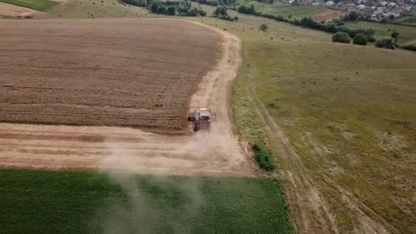 Luchtfoto van modern combineren oogst tarwe op het veld. Oogstmachines die in het veld werken — Stockvideo