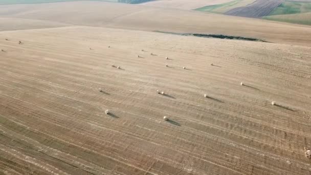 Vista aérea del campo de trigo con fardos en la noche de verano — Vídeos de Stock