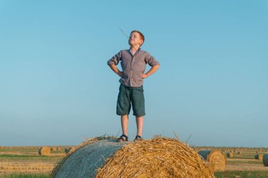 Kızıl saçlı bir çocuk buğday tarlasında saman balyasının üzerinde duruyor.