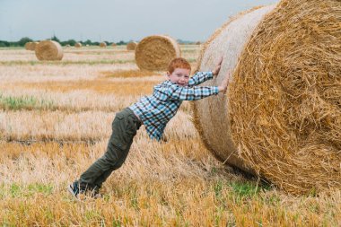 Kızıl saçlı çocuk bir yaz akşamında balyalarla bir buğday tarlasının ortasında saman balyasını itiyor.
