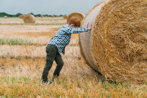 Menino ruivo empurrando um fardo de palha no meio de um campo de trigo com fardos em uma noite de verão — Fotografia de Stock