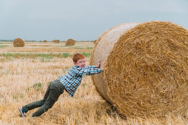 Menino ruivo empurrando um fardo de palha no meio de um campo de trigo com fardos em uma noite de verão — Fotografia de Stock