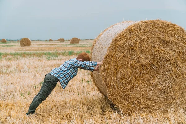 Menino ruivo empurrando um fardo de palha no meio de um campo de trigo com fardos em uma noite de verão — Fotografia de Stock