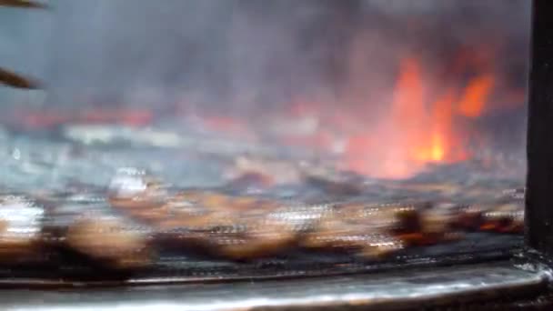 Gebratene Rippen drehen sich über dem Feuer. Lebensmittelästhetik — Stockvideo