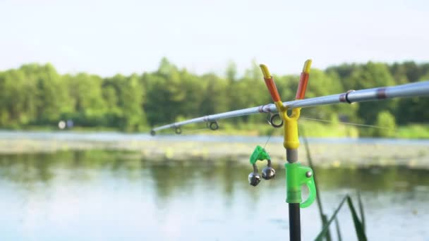 Рибальський стрижень на озері в літній день. Професійний рибальський стрижень чекає укусів на воді річки — стокове відео