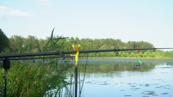 Varas de pesca no lago no dia de verão. hastes de pesca profissionais esperando por mordidas no rio de água — Vídeo de Stock