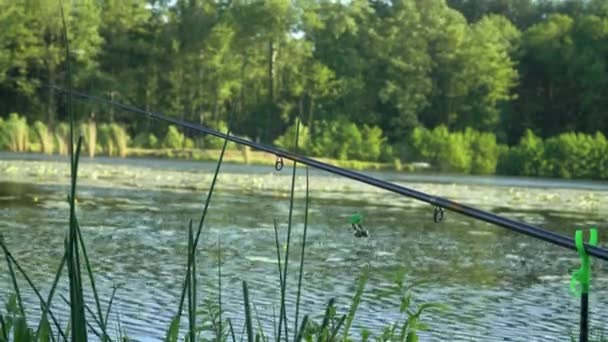 Canne à pêche sur le lac dans la journée d'été. Canne à pêche professionnelle en attente de morsures sur la rivière d'eau — Video