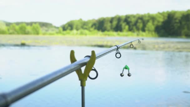 专业的钓竿等着在水河上被咬。 夏日湖上的钓竿. — 图库视频影像