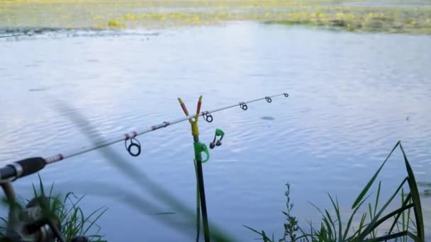 Рибальський стрижень на озері в літній день. Професійний рибальський стрижень чекає укусів на воді річки — стокове відео