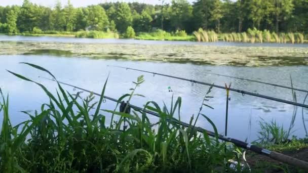 Three professional fishing rods waiting for bites on water river. Fishing rods on the lake in summer day — Stock Footage Three professional fishing rods waiting for bites on water river. Fishing rods on the lake in summer day Video Clip