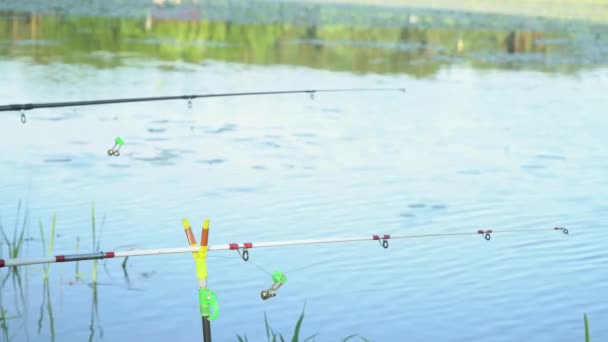 Δύο καλάμια ψαρέματος στη λίμνη το καλοκαίρι. Επαγγελματικό καλάμι ψαρέματος που περιμένει τσιμπήματα στο ποτάμι — Αρχείο Βίντεο