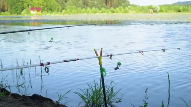 Duas varas de pesca profissionais esperando por mordidas no rio de água — Vídeo de Stock