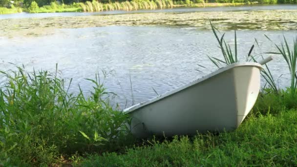 Белая лодка на озере в летний день — стоковое видео