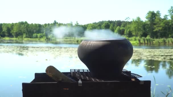 Iron cast cauldron boiling ear over open log fire on the lake background — Stock Video