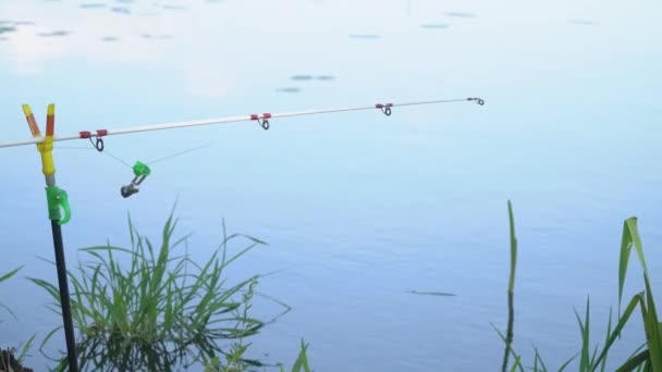 Vara de pesca no lago no dia de verão. Haste de pesca profissional à espera de mordidas no rio de água — Vídeo de Stock