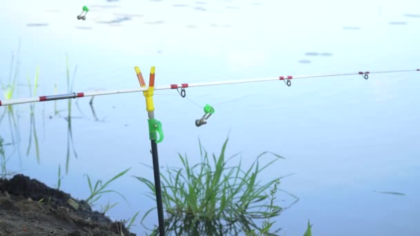 Vara de pesca no lago no dia de verão. Haste de pesca profissional à espera de mordidas no rio de água — Vídeo de Stock