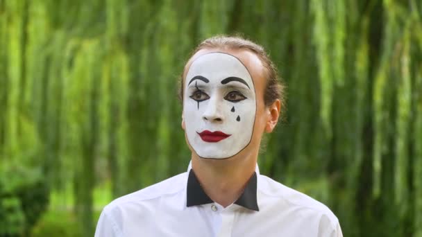 Fun mime looking at the camera on green background in a park — Stock Video
